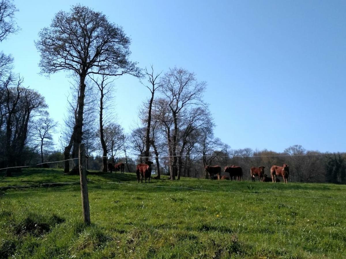 Gite Le Valet, T2 Classe 3 Etoiles, Entre Rennes Et Saint-Malo Villa La Chapelle-aux-Filzméens Exterior foto